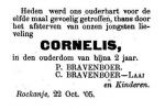Bravenboer Kornelis-NBC-29-10-1905 (kind gr)  .jpg